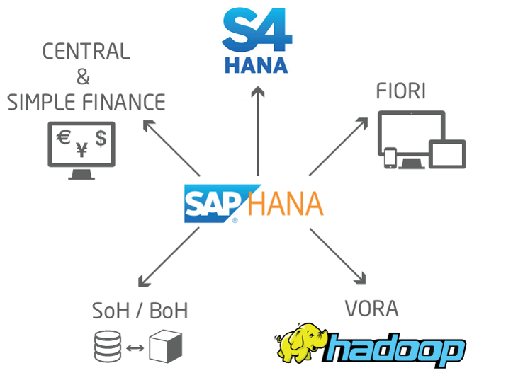 expertise HANA